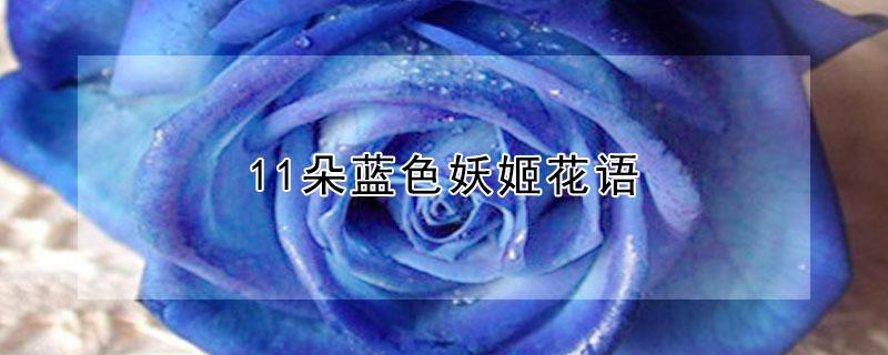 11朵蓝色妖姬花语 11朵蓝色妖姬花语多少钱