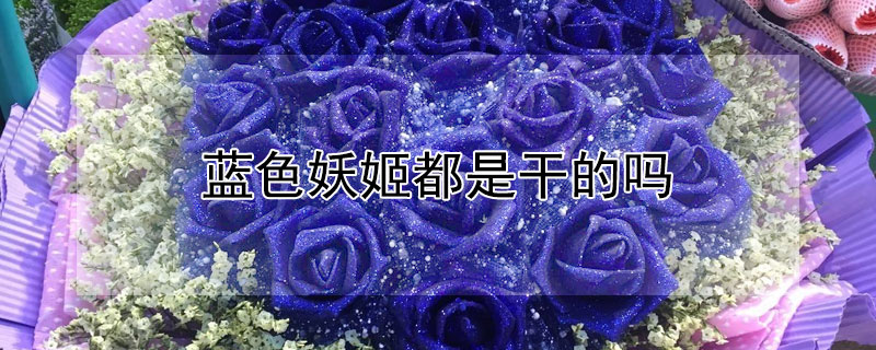 蓝色妖姬都是干的吗 蓝色妖姬为什么是干的