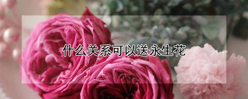 什么关系可以送永生花（普通朋友可以送永生花吗）