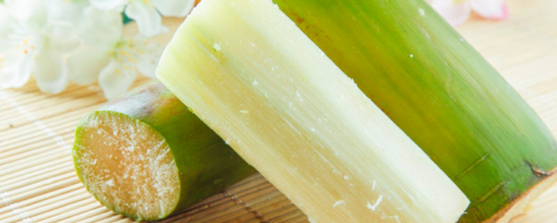 甘蔗寓意 乔迁甘蔗寓意