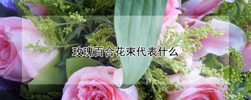 玫瑰百合花束代表什么 香槟玫瑰百合花束代表什么