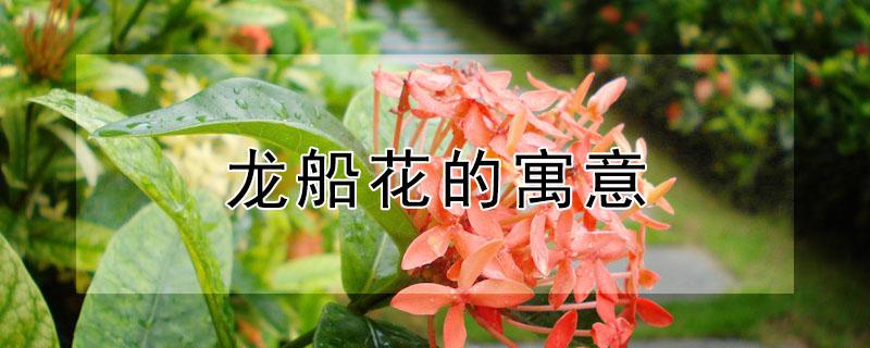 龙船花的寓意 龙船花的名字由来