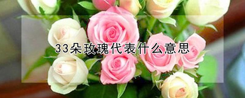 33朵玫瑰代表什么意思（19朵玫瑰代表什么意思）