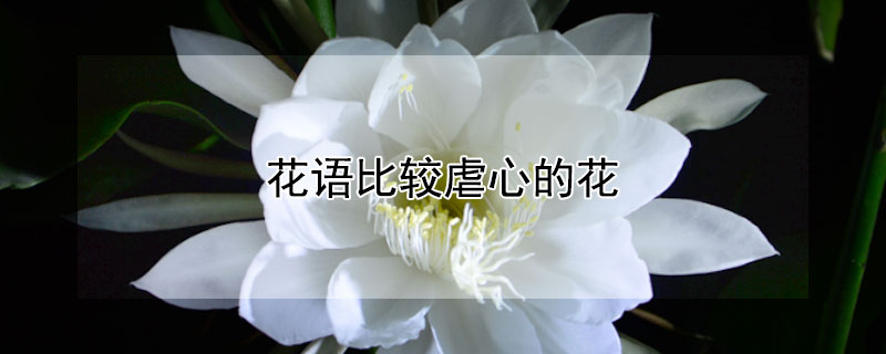 花语比较虐心的花 花语比较虐心的花语