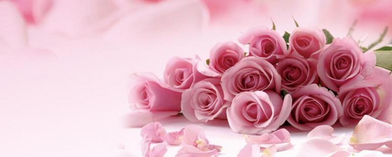 粉玫瑰花语是什么 17朵粉玫瑰花语是什么