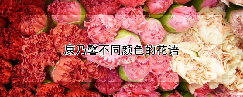 康乃馨不同颜色的花语 康乃馨不同颜色的花语和寓意