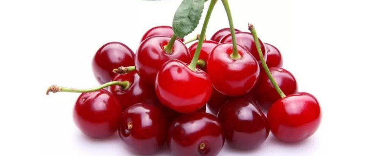 樱桃寓意是什么意思（红樱桃的寓意是什么）