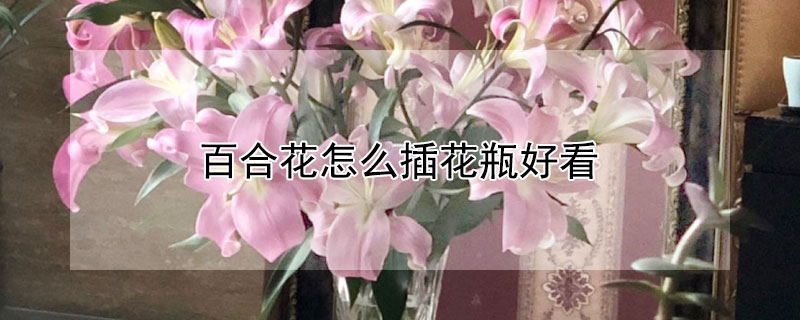 百合花怎么插花瓶好看 百合花怎样插花好看