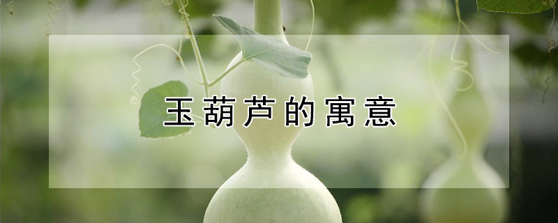 玉葫芦的寓意（女士佩戴玉葫芦的寓意）