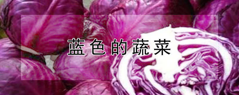蓝色的蔬菜（蓝色的蔬菜图片）