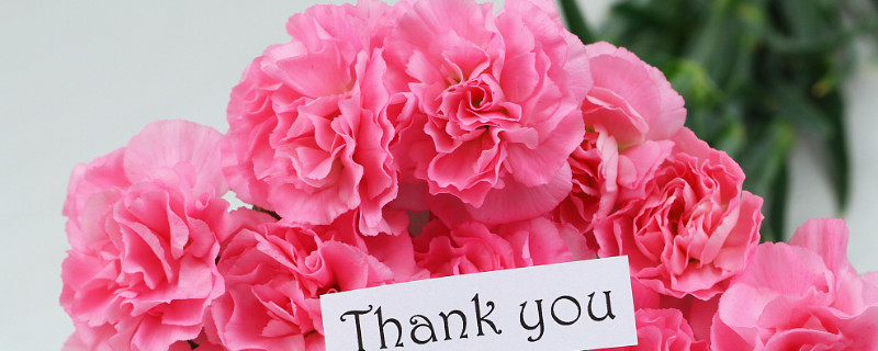 康乃馨枯萎了还能活吗 康乃馨有点枯还能活吗