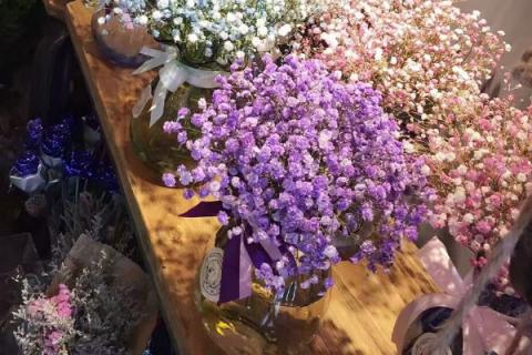 粉色满天星送给什么人