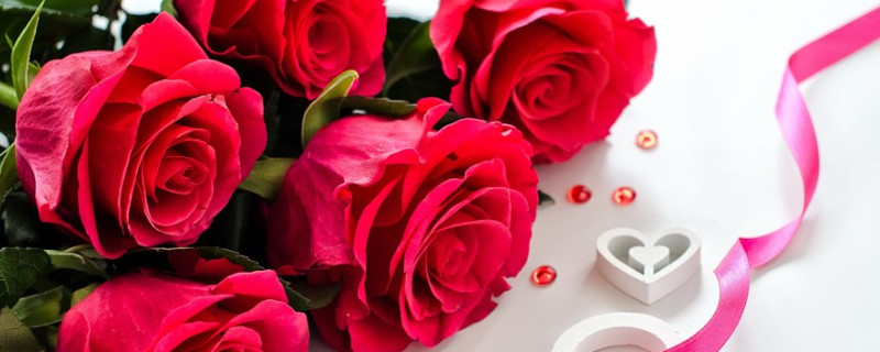 玫瑰花冬天在外面能过冬吗 玫瑰花在北方室外能过冬吗