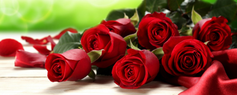 100朵玫瑰代表什么意思(100朵玫瑰代表什么花语)