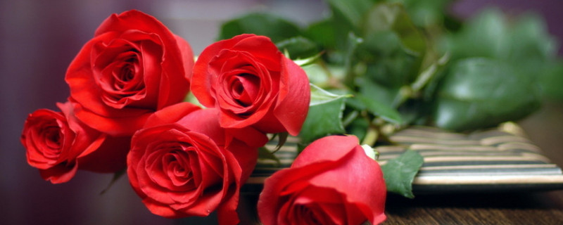 玫瑰变黑了怎么办（玫瑰金变黑了怎么办）