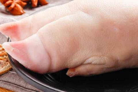 猪蹄的功效与作用(黄芪炖猪蹄的功效与作用)