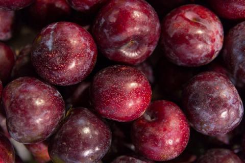 黑李子果的功效与作用 黑李子有什么功效