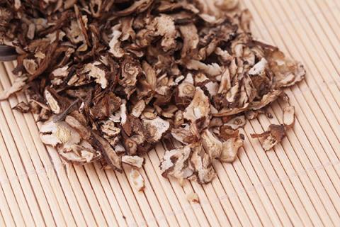 蒲公英泡枸杞子水喝的功效与作用 蒲公英跟枸杞泡水喝的功效