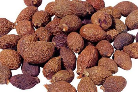 胖大海泡水喝的功效与作用 胖大海泡水喝的功效与作用及副作用