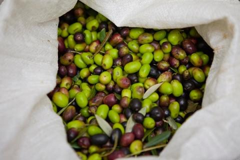 橄榄煲汤的功效与作用 橄榄炖汤的功效