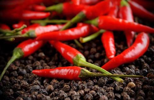 辣椒种类图片大全 辣椒的种类及图片大全