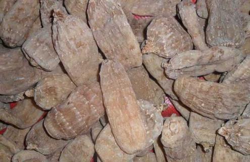 天麻种类图片大全 天麻什么样子图片大全