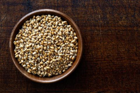 小麦米的功效与作用 小麦米的功效与作用及禁忌