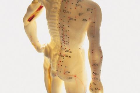 十宣放血的功效与作用（十宣放血有什么好处）