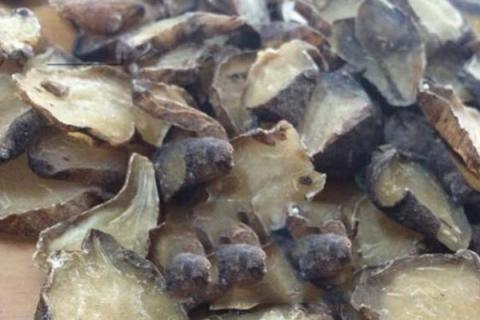 制附子的功效与作用 制附子的功效与作用的功能与主治