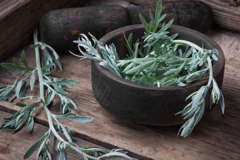 艾条的功效与作用 熏艾条的功效与作用