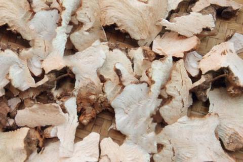 川太的功效与作用 川太的功效与作用点