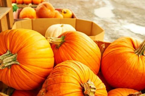 南瓜尖的功效与作用 南瓜子的功效与作用及副作用?