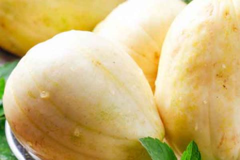 三白瓜的功效与作用 三白瓜的功效与作用视频解说