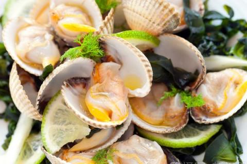 花蛤的功效与作用 花蛤的功效与作用图片