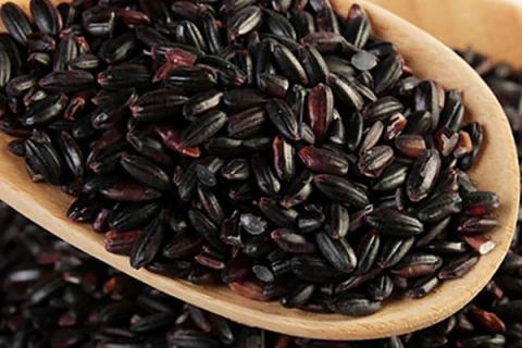 黑米黑豆黑芝麻的功效与作用（黑米黑豆黑芝麻的功效与作用及食用方法）