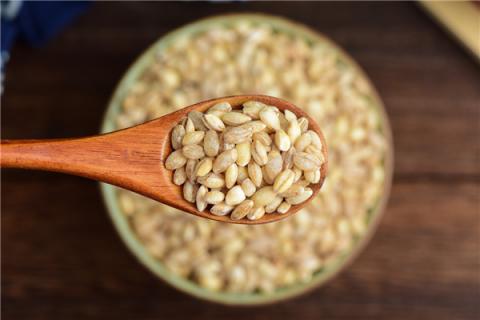 麦仁粥的功效与作用 小米麦仁粥的功效与作用