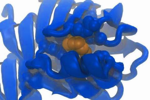 视黄酮的功效与作用 视黄醇成分