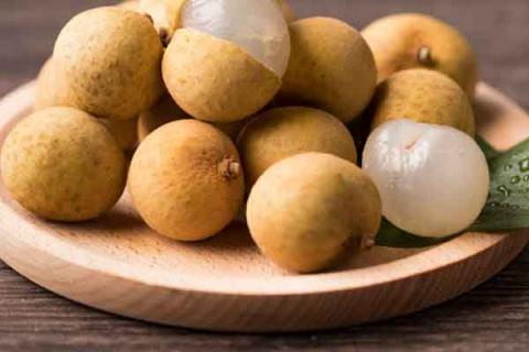 元肉的功效与作用 元肉的功效与作用百度百科