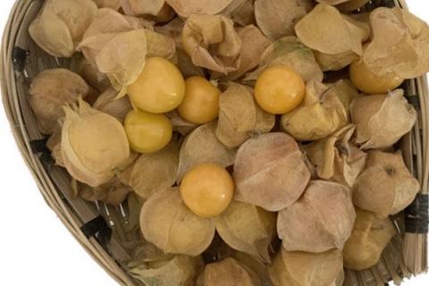 龙珠果的功效与作用 龙珠果的功效与作用图片