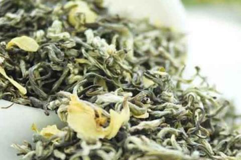 茉莉花茶的功效与作用 茉莉花茶的功效与作用禁忌人群