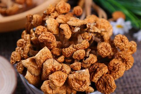 滑子菇的功效与作用 滑子菇的功效与作用及副作用