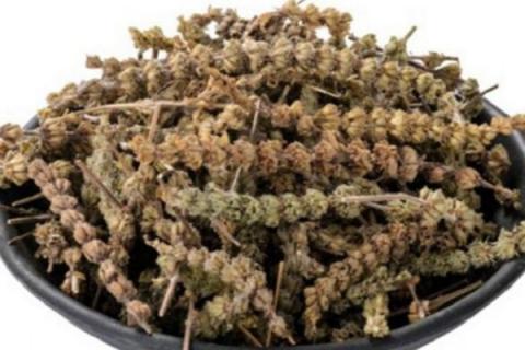 荆介穗的功效与作用 荆芥穗的功效与作用