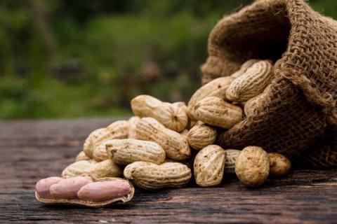 吃花生的功效与作用 空腹吃花生的功效与作用