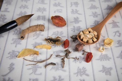 砂仁陈皮泡水喝功效（砂仁陈皮煮水有什么功效）