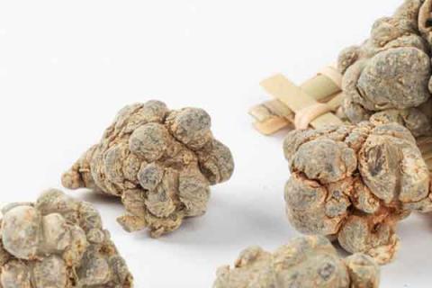 三七泡水喝的功效与作用（红花加三七泡水喝的功效与作用）