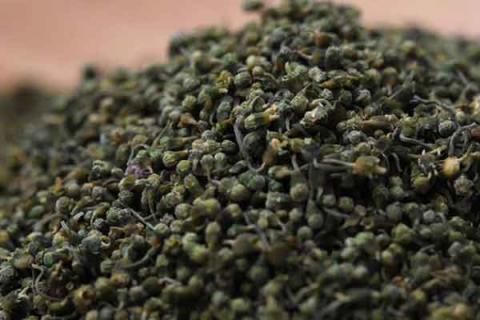 参花的功效与作用（参花的功效与作用及食用方法）