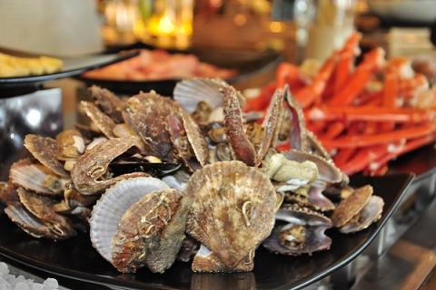 扇贝的功效与作用（扇贝的功效与作用及营养）