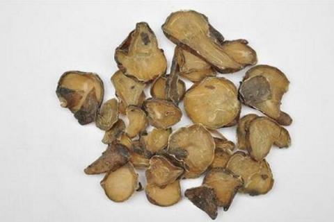 熟附子的功效与作用（熟附子的功效与作用及禁忌用量）