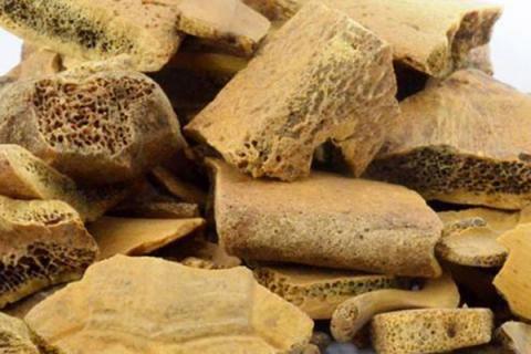 龟甲的功效与作用 醋龟甲的功效与作用