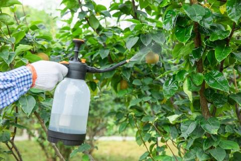 代森锰锌的功效与作用 代森锰锌的功效与作用价格